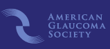 The American Glaucoma Society